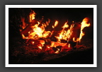 DSCF0633